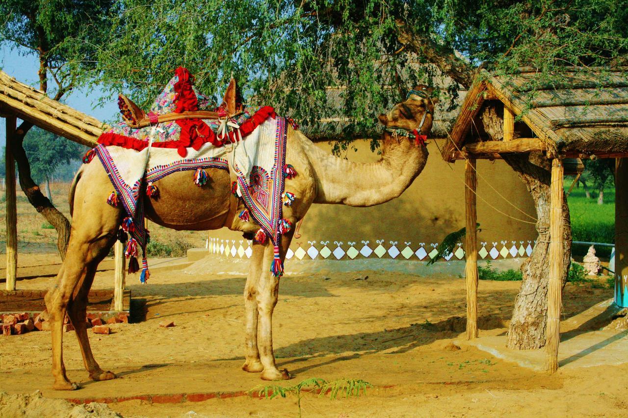 Desert Nights Mandawa Exterior photo